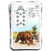 Madame Lenormand Waarzegkaarten